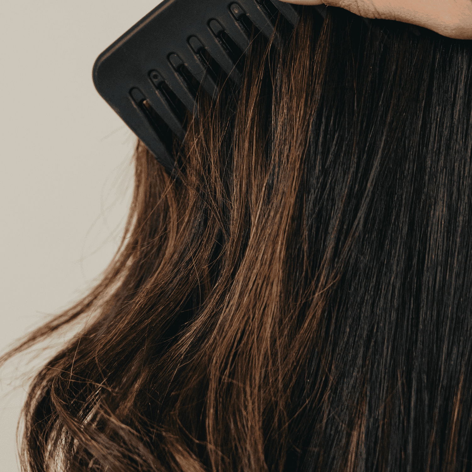 Hydrating Conditioner - Harvest - Kankan