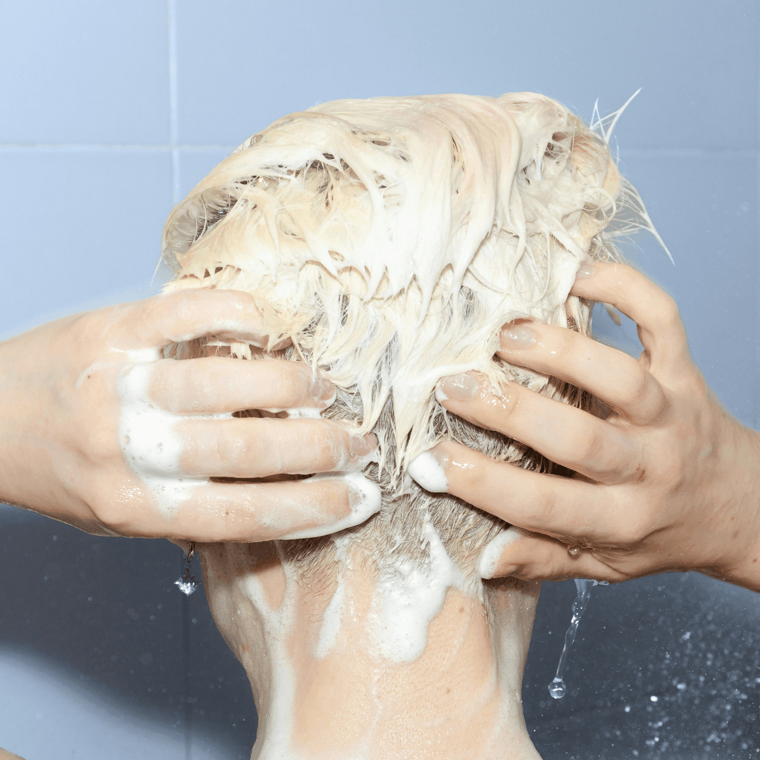 Hydrating Shampoo - Harvest - Kankan