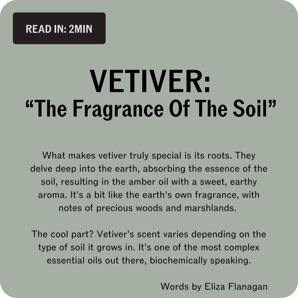 Vetiver: Deep Dive "I'm The Fragrance Of The Soil"