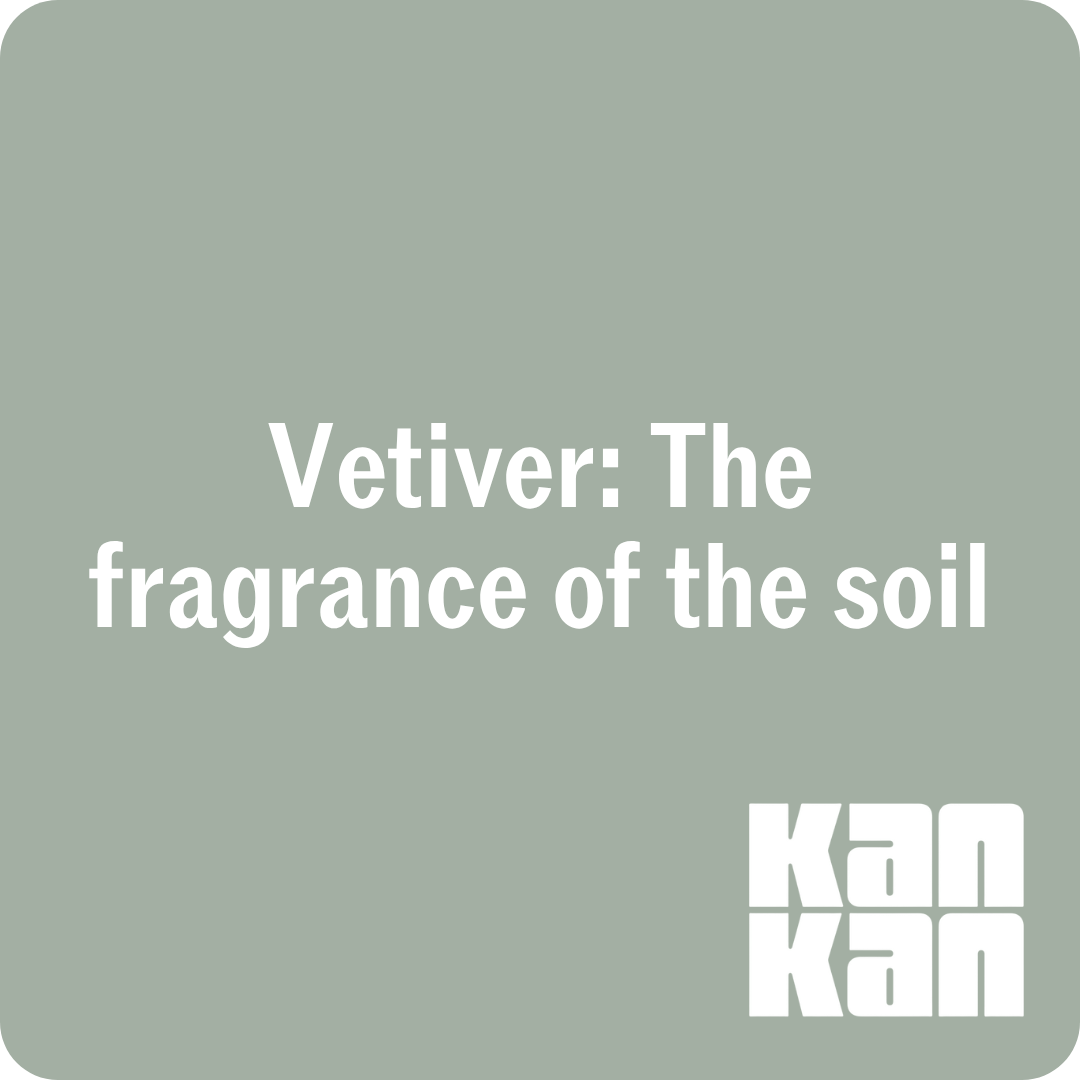 The Fragrance of the Soil: Vetiver