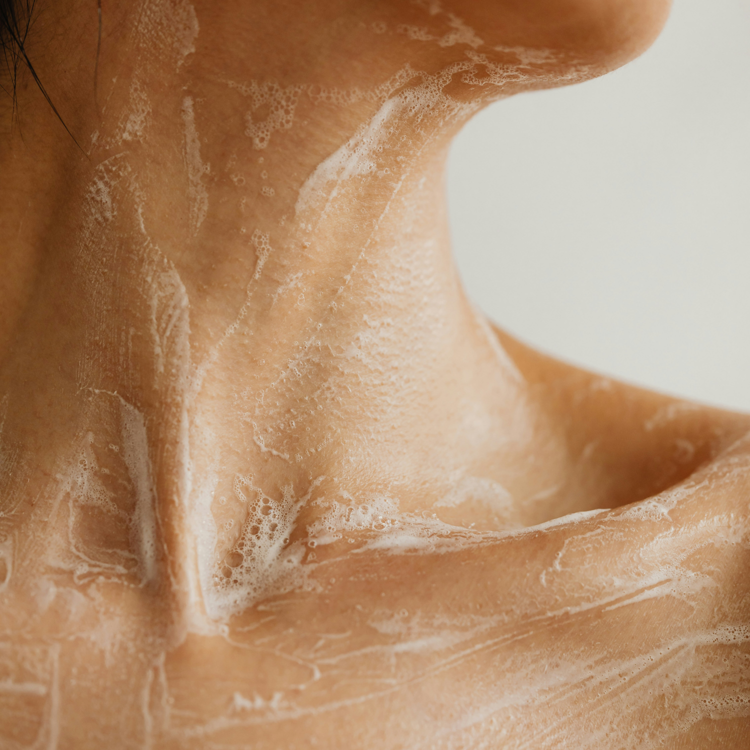 Body Cleanser - Harvest