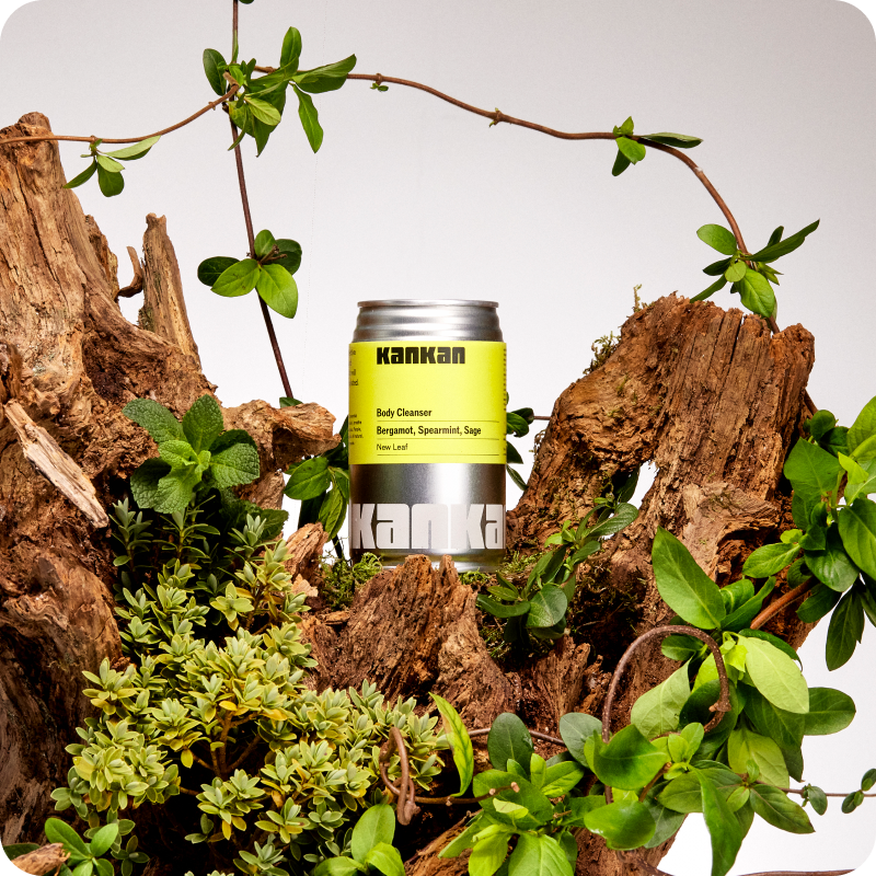 Subscribe & Save with your favourite Kankan products